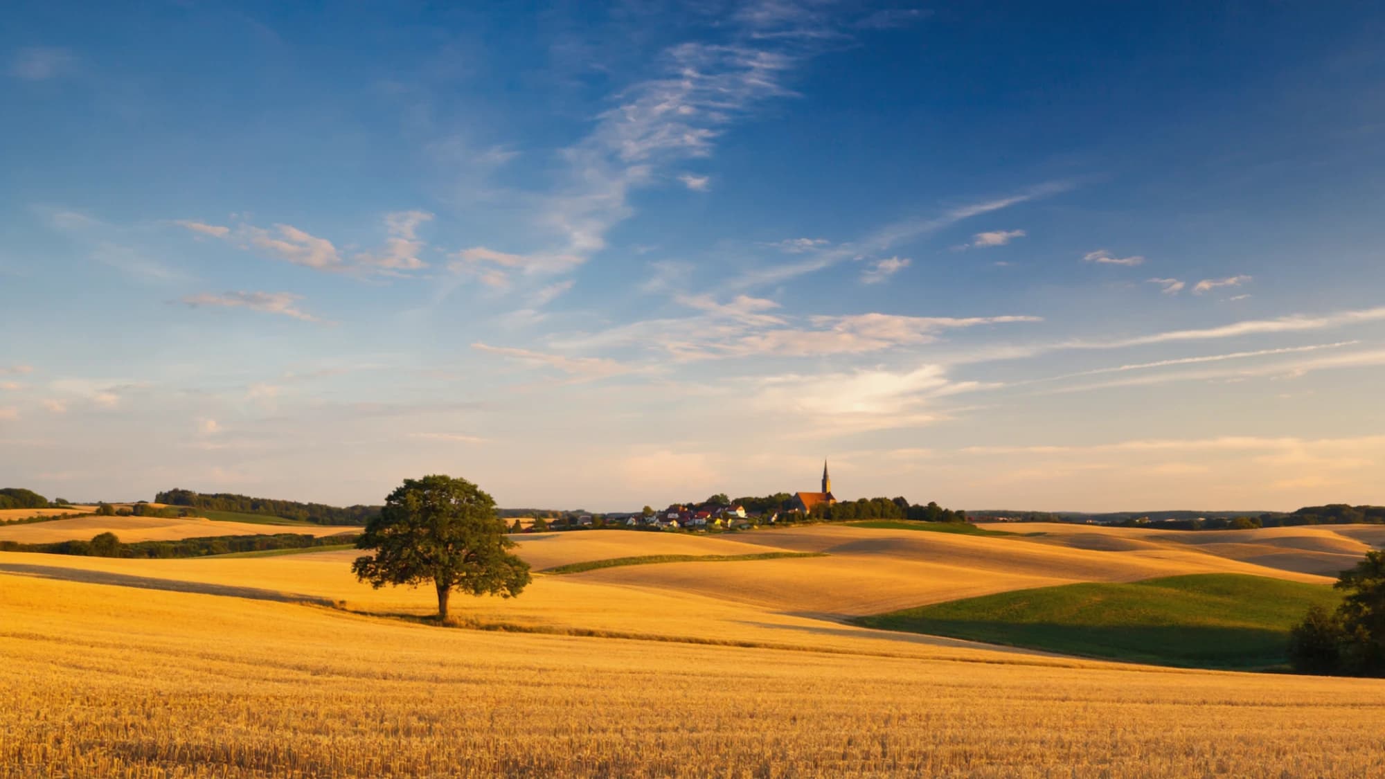 Ackerland im Kreis Lippe
